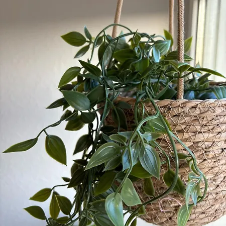 Schicke Brackwede Bielefeld