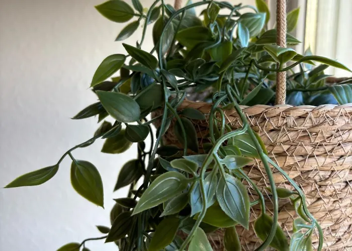 Schicke Brackwede Bielefeld